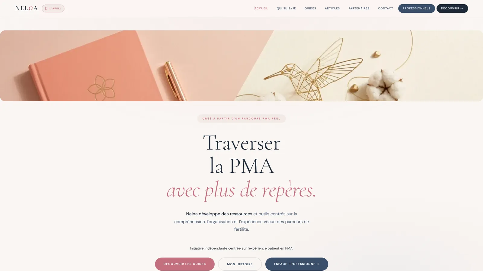 Capture du site Neloa